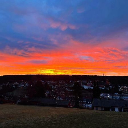 Modernes Panorama-Domizil Apartman Schömberg Kültér fotó